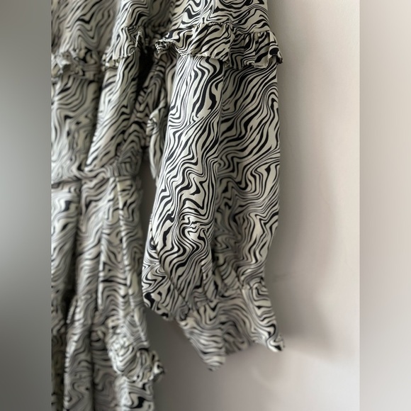 SANDRO 100 % SILK Salome belted zebra-print silk-twill dress - Small - Picture 12 of 16